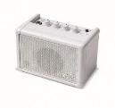 CARRY ON CO-SPEAKER - MINI AMPLIFICADOR