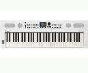 ROLAND GO KEYS 5 WHITE TECLADO