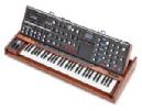 MOOG MINIMOOG VOYAGER XL SINTETIZADOR