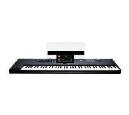 KORG TECLADO PA5X-61 TECLAS