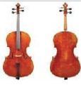 ANTONIO WANG BRADENBURG VIOLONCELLO 4/4