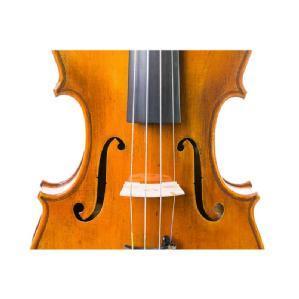 ANTONIO WANG VERONA VIOLIN 4/4