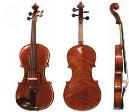 THE ELYSIA VIOLIN 4/4 MONTAJE LUTHIER CUERDAS DOMINANT