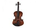 THE ARCADIA VIOLIN 4/4 MONTAJE LUTHIER CUERDAS DOMINANT