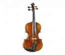 TRADIZIONE PIZZICATO VIOLIN 4/4 MONTAJE LUTHIER