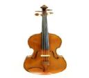 DINASTY VIOLA 15" OFERTA