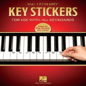 KEY STICKERS PIANO KEYBOARD ORGAN PEGATINAS NOTAS 