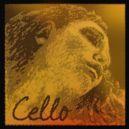 PIRASTRO CUERDA VIOLONCELLO 4/4 EVAH PIRAZZI GOLD 3ª