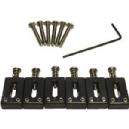 PATIN GUITAR ELECT GRAPH-TECH STRAT SET 6