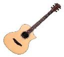 BROMO ALL SOLID BROMO CON FISHMAN SONITONE GUITARRA ACUSTICA
