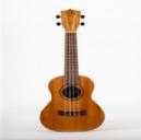 BUMBLEBEE NATURAL UKELELE CONCERT
