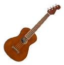 FENDER AVALON NATURAL WN UKELELE TENOR 