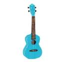 ORTEGA EARTH SERIES RU LAGOON UKELELE CONCERT 