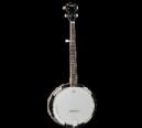 DAYTONA BANJO TANGLEWOOD 5 CUERDAS