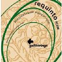 GALLISTRINGS JUEGO REQUINTO 