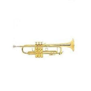 BACH STRADIVARIUS LR-180/43 GOLDMESSING TROMPETA SIb