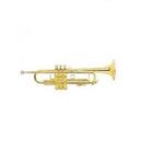 BACH STRADIVARIUS LR-180/72 GOLDMESSING TROMPETA SIb