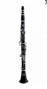 AMATI ACL-202S  CON FUNDA CLARINETE EN DO 