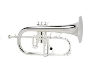 STOMVI FLISCORNO SIb COURTOIS PLATEADO AC154