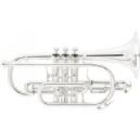 KING EN SIb 2220SP LEGEND CORNETA 