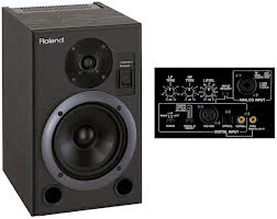 ROLAND BIAMPLIFICADO DS-7 MONITOR ESTUDIO Rebajado