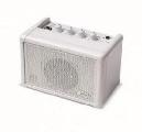 CARRY ON CO-SPEAKER - MINI AMPLIFICADOR