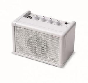 CARRY ON CO-SPEAKER - MINI AMPLIFICADOR