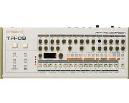 ROLAND MODULO BOUTIQUE TR-09 CAJA RITMOS