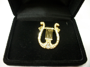 AGUJA CRISTAL SWAROVSKI HP DORADA LIRA Rebajado