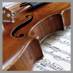 GAMUZA VIOLIN