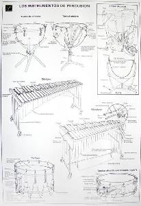 LAMINA PERCUSION 45x60 2308