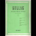 P KULLAK ESCUELA DE OCTAVAS V.I PARA PIANO *OFERTA*