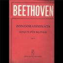 P BEETHOVEN SONATA PIANO OP 111  *OFERTA*