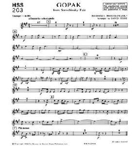 CAM MODEST MUSORGSKI GOPAK ORQUESTA DE CUERDA *OFERTA*