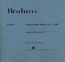 P BRAHMS DANZAS HUNGARAS VOL.1