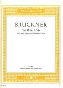 P BRUCKNER 3 PEQUEÑAS PIEZAS