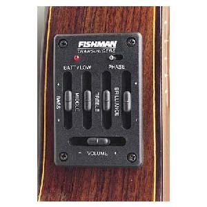 PASTILLA GUITAR ESP FISHMAN MATRIX PROFESSIONAL NARROW